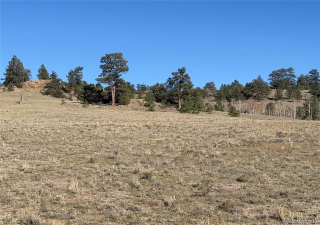 Land for sale at Lot 2220 Caddo Rd, Hartsel, CO 80449 | MLS# 5679528