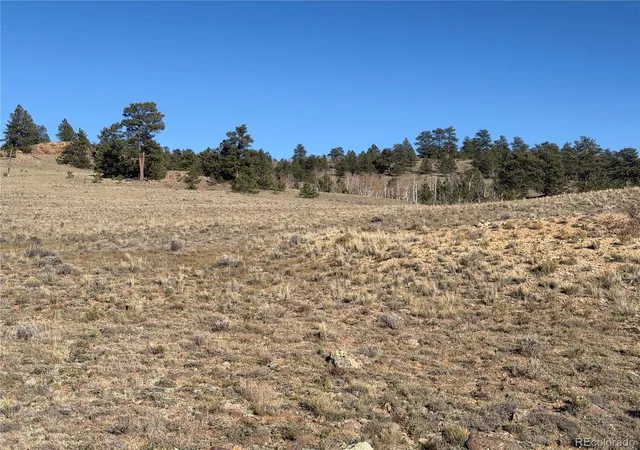 Photo 3 of Land for sale at Lot 2220 Caddo Rd, Hartsel, CO 80449 | MLS# 5679528 | Listing updated on 2026-10-18