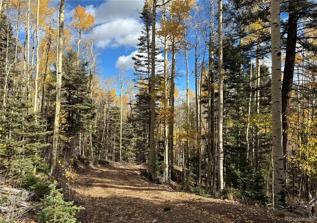 Land for sale at Lot 5366 Sledgers Rd, San Luis, CO 81152 | MLS# 2719484