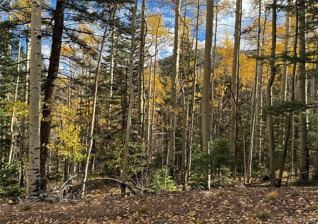 Photo 2 of Land for sale at Lot 5366 Sledgers Rd, San Luis, CO 81152 | MLS# 2719484 | Listing updated on 2026-10-20