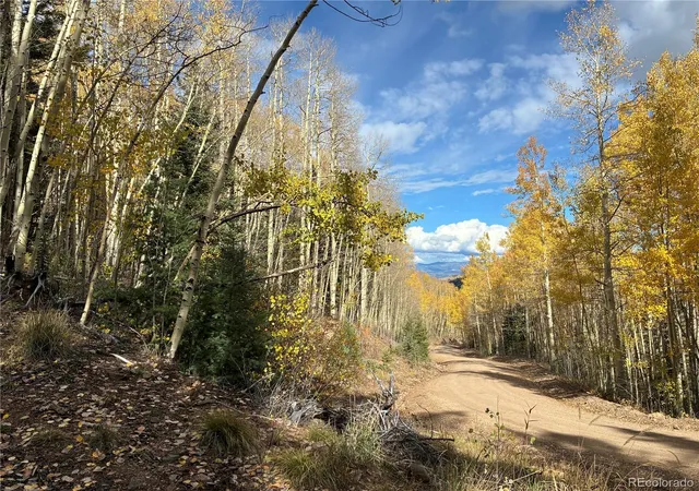 Photo 3 of Land for sale at Lot 5366 Sledgers Rd, San Luis, CO 81152 | MLS# 2719484 | Listing updated on 2026-10-20