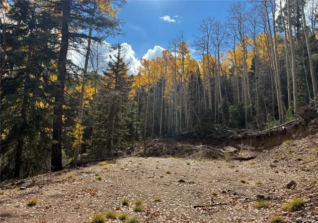 Photo 4 of Land for sale at Lot 5366 Sledgers Rd, San Luis, CO 81152 | MLS# 2719484 | Listing updated on 2026-10-20