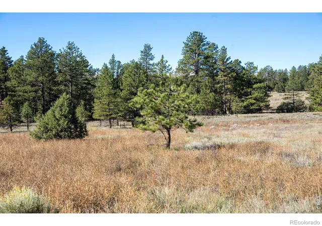 Photo 2 of Land for sale at 1563 19th Trail, Cotopaxi, CO 81223 | MLS# IR1070883 | Listing updated on 2026-10-22