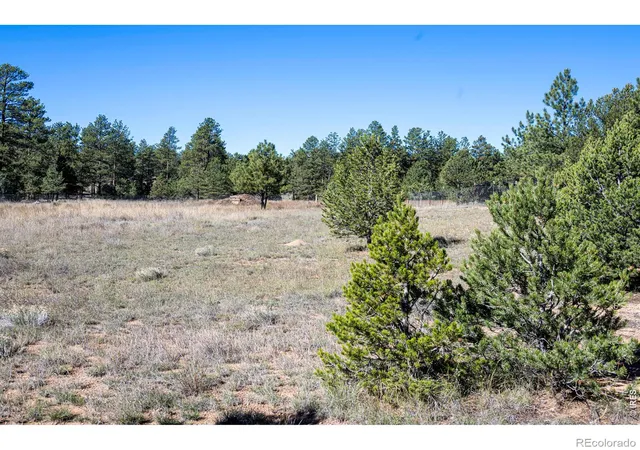 Photo 3 of Land for sale at 1563 19th Trail, Cotopaxi, CO 81223 | MLS# IR1070883 | Listing updated on 2026-10-22