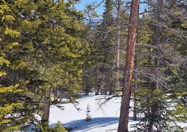 Photo 1 of Land for sale at 318 El Lobo Ln, Fairplay, CO 80440 | MLS# 8959201 | Listing updated on 2026-10-20