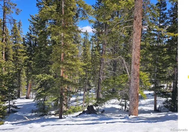 Photo 3 of Land for sale at 318 El Lobo Ln, Fairplay, CO 80440 | MLS# 8959201 | Listing updated on 2026-10-20