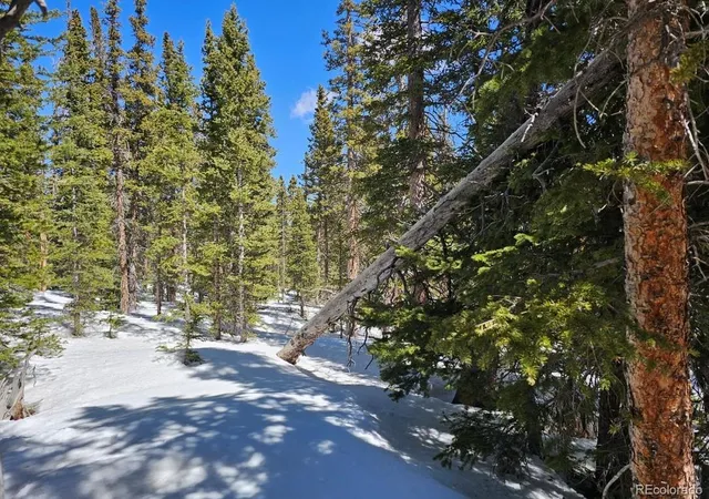 Photo 3 of Land for sale at 135 Valley Of The Sun Dr, Fairplay, CO 80440 | MLS# 9603442 | Listing updated on 2026-10-20