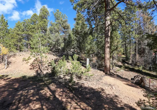 Photo 3 of Land for sale at 12282 Hosman Ct, Conifer, CO 80433 | MLS# 5681280 | Listing updated on 2026-10-27