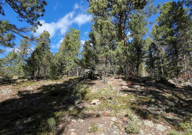 Photo 4 of Land for sale at 12282 Hosman Ct, Conifer, CO 80433 | MLS# 5681280 | Listing updated on 2026-10-27
