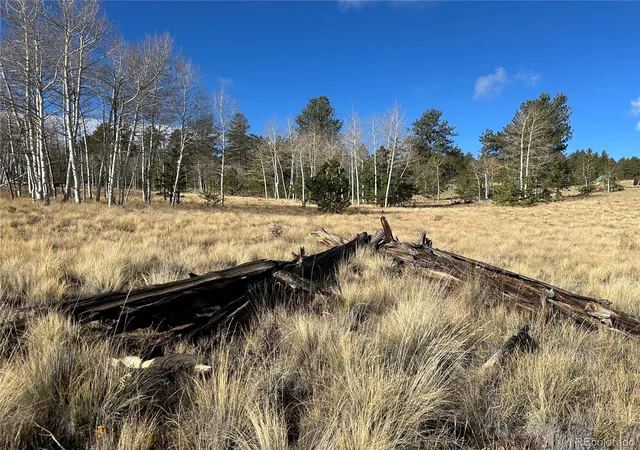 Land for sale at 203 Doubletree Ct, Hartsel, CO 80449 | MLS# 2135650