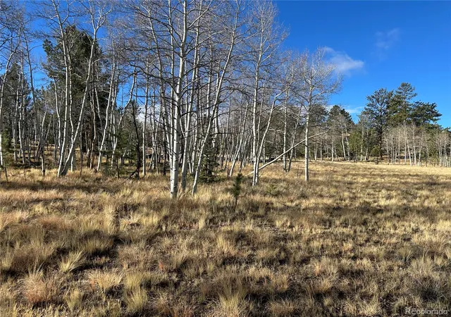 Photo 1 of Land for sale at 203 Doubletree Ct, Hartsel, CO 80449 | MLS# 2135650 | Listing updated on 2026-10-23