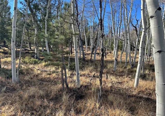 Photo 2 of Land for sale at 203 Doubletree Ct, Hartsel, CO 80449 | MLS# 2135650 | Listing updated on 2026-10-23