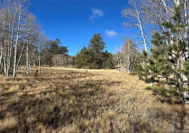 Photo 3 of Land for sale at 203 Doubletree Ct, Hartsel, CO 80449 | MLS# 2135650 | Listing updated on 2026-10-23