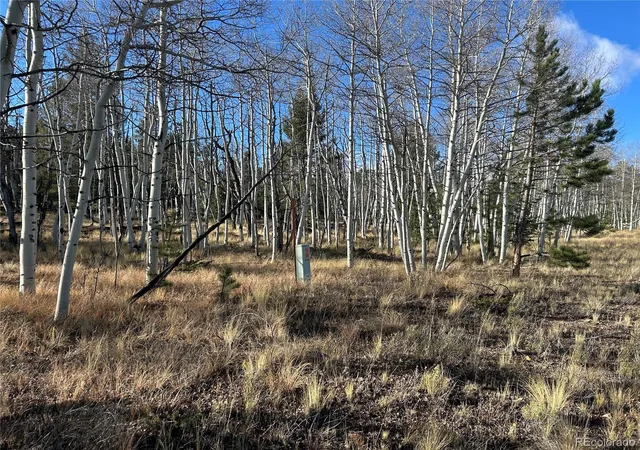 Photo 4 of Land for sale at 203 Doubletree Ct, Hartsel, CO 80449 | MLS# 2135650 | Listing updated on 2026-10-23