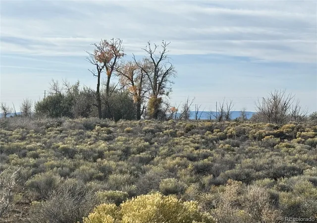 Photo 4 of Land for sale at 00 2nd Street, Alamosa, CO 81101 | MLS# 7732634 | Listing updated on 2026-10-29