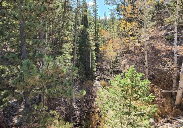 Photo 1 of Land for sale at 12190 Highway 7, Allenspark, CO 80510 | MLS# IR1071016 | Listing updated on 2026-10-23