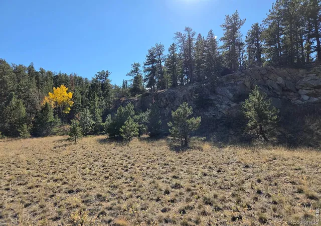 Photo 3 of Land for sale at 12190 Highway 7, Allenspark, CO 80510 | MLS# IR1071016 | Listing updated on 2026-10-23