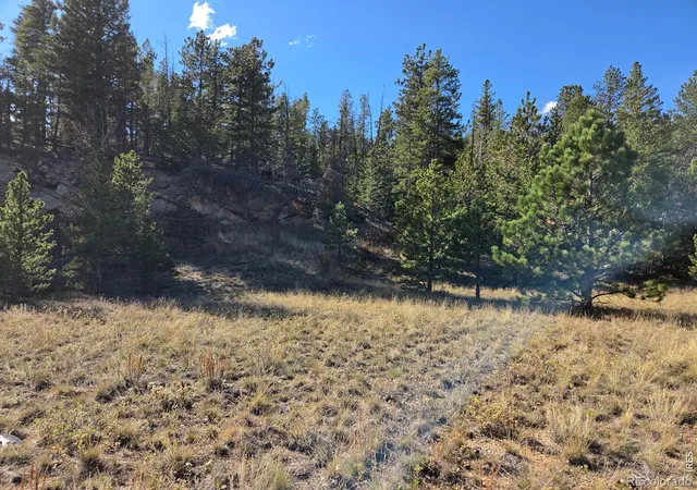 Photo 4 of Land for sale at 12190 Highway 7, Allenspark, CO 80510 | MLS# IR1071016 | Listing updated on 2026-10-23