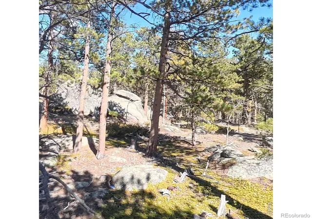 Photo 2 of Land for sale at 12680 Highway 7, Allenspark, CO 80510 | MLS# IR1071020 | Listing updated on 2026-10-22