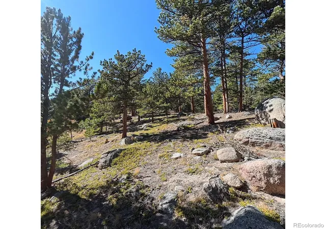 Photo 3 of Land for sale at 12680 Highway 7, Allenspark, CO 80510 | MLS# IR1071020 | Listing updated on 2026-10-22