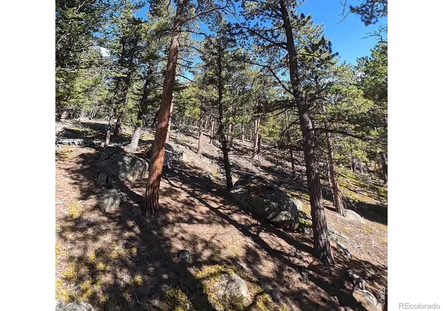 Photo 4 of Land for sale at 12680 Highway 7, Allenspark, CO 80510 | MLS# IR1071020 | Listing updated on 2026-10-22