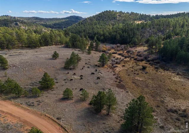 Photo 1 of Land for sale at 8 Spring Trl, Livermore, CO 80536 | MLS# IR1071028 | Listing updated on 2026-10-22