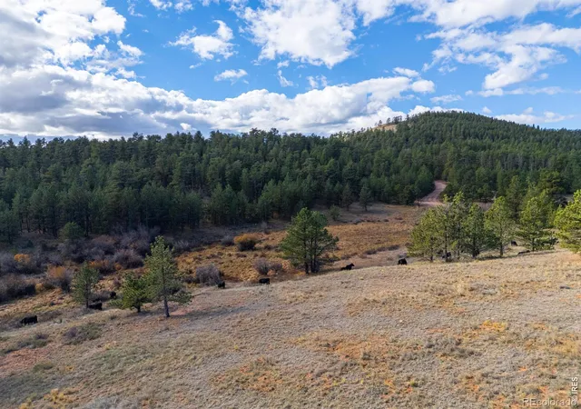 Photo 3 of Land for sale at 8 Spring Trl, Livermore, CO 80536 | MLS# IR1071028 | Listing updated on 2026-10-22