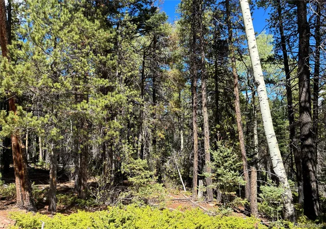 Photo 1 of Land for sale at Lot 3307 Grojean, Fort Garland, CO 81133 | MLS# 6235154 | Listing updated on 2026-10-22