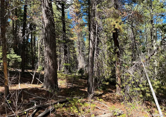 Photo 3 of Land for sale at Lot 3307 Grojean, Fort Garland, CO 81133 | MLS# 6235154 | Listing updated on 2026-10-22