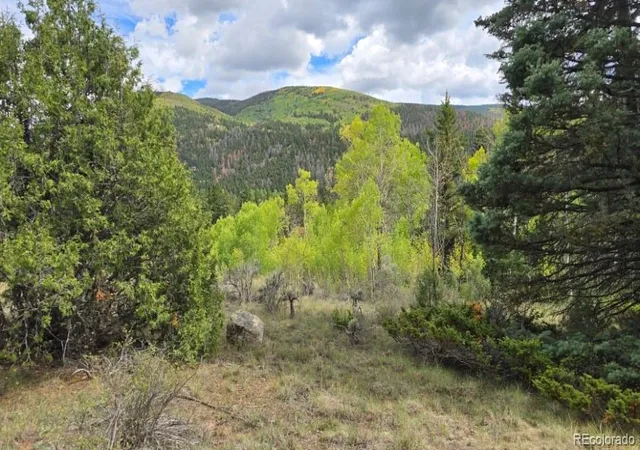 Photo 3 of Land for sale at Lots 6301 & 6302 Nicholson Rd, San Luis, CO 81152 | MLS# 4745379 | Listing updated on 2026-10-23