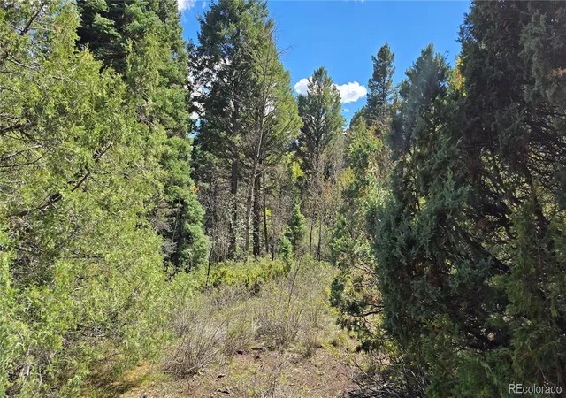 Photo 4 of Land for sale at Lots 6301 & 6302 Nicholson Rd, San Luis, CO 81152 | MLS# 4745379 | Listing updated on 2026-10-23