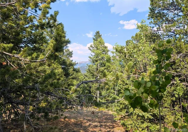 Photo 2 of Land for sale at Fairview Dr, Cripple Creek, CO 80813 | MLS# 6061749 | Listing updated on 2026-10-27