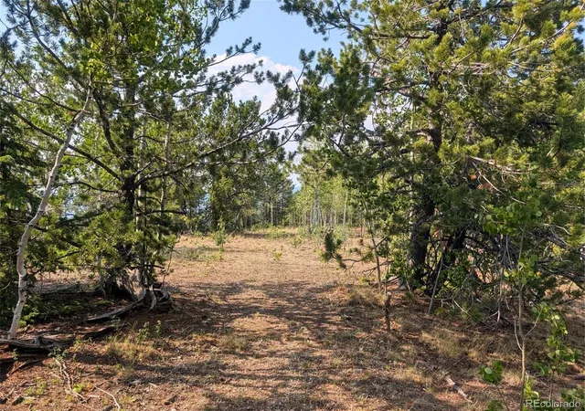 Photo 3 of Land for sale at Fairview Dr, Cripple Creek, CO 80813 | MLS# 6061749 | Listing updated on 2026-10-27