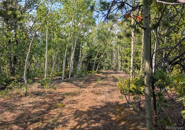 Photo 4 of Land for sale at Fairview Dr, Cripple Creek, CO 80813 | MLS# 6061749 | Listing updated on 2026-10-27