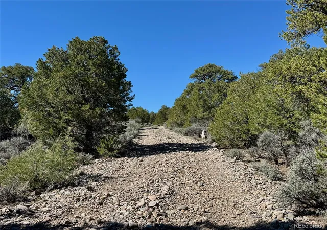 Photo 2 of Land for sale at Lot 88 Elk Park Rd, San Luis, CO 81152 | MLS# 3246559 | Listing updated on 2026-10-23