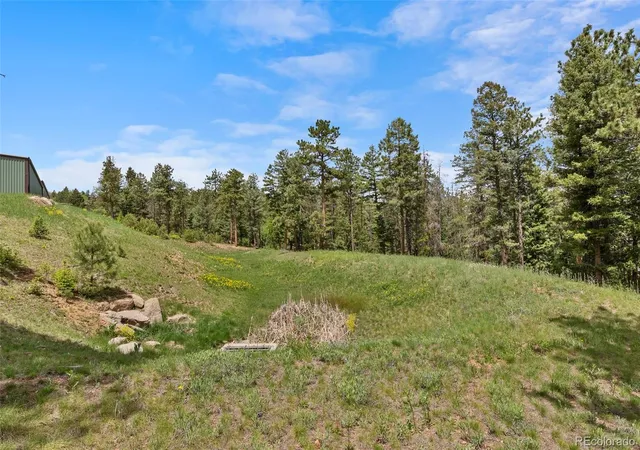 Photo 4 of Land for sale at 11000 Kitty Dr, Conifer, CO 80433 | MLS# 7999799 | Listing updated on 2026-10-27