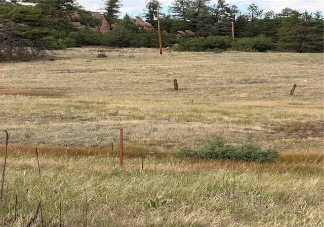 Photo 4 of Land for sale at 204 Pike View Ln, Florissant, CO 80816 | MLS# 8321649 | Listing updated on 2026-10-29