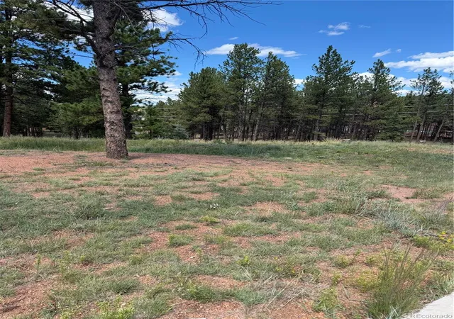 Photo 3 of Land for sale at 1396 Roberts Ranch Rd, Woodland Park, CO 80863 | MLS# 3181395 | Listing updated on 2026-10-29