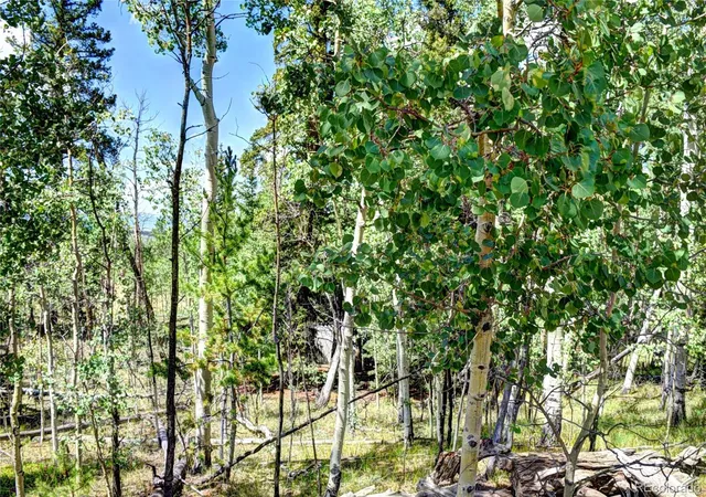 Photo 1 of Land for sale at 266 Timberline Dr, Guffey, CO 80820 | MLS# 8937926 | Listing updated on 2026-10-27