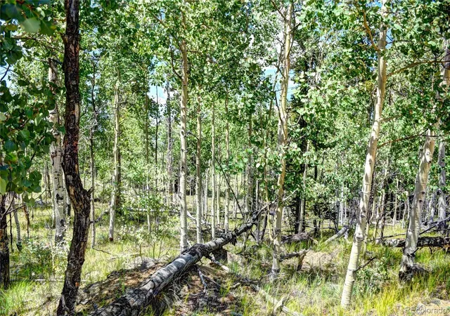 Photo 2 of Land for sale at 266 Timberline Dr, Guffey, CO 80820 | MLS# 8937926 | Listing updated on 2026-10-27