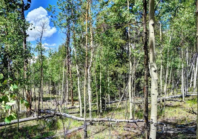 Photo 3 of Land for sale at 266 Timberline Dr, Guffey, CO 80820 | MLS# 8937926 | Listing updated on 2026-10-27