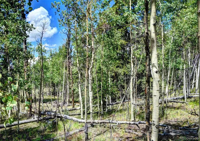 Photo 3 of Land for sale at 266 Timberline Dr, Guffey, CO 80820 | MLS# 8937926 | Listing updated on 2026-10-27