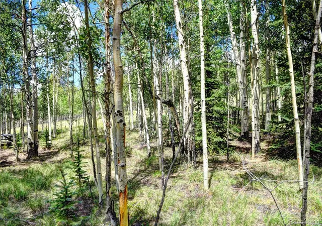 Photo 4 of Land for sale at 266 Timberline Dr, Guffey, CO 80820 | MLS# 8937926 | Listing updated on 2026-10-27