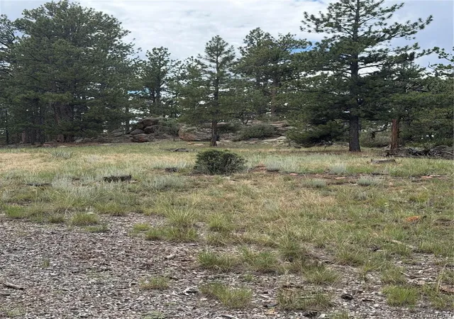 Photo 2 of Land for sale at 11042 County Rd 1, Florissant, CO 80816 | MLS# 9345852 | Listing updated on 2026-10-29