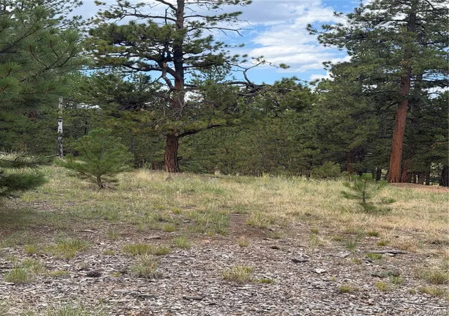 Photo 3 of Land for sale at 11042 County Rd 1, Florissant, CO 80816 | MLS# 9345852 | Listing updated on 2026-10-29