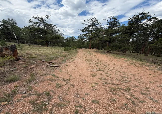 Photo 3 of Land for sale at 11042 County Rd 1, Florissant, CO 80816 | MLS# 9345852 | Listing updated on 2026-10-29