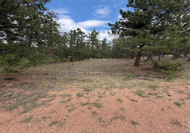 Photo 4 of Land for sale at 11042 County Rd 1, Florissant, CO 80816 | MLS# 9345852 | Listing updated on 2026-10-29