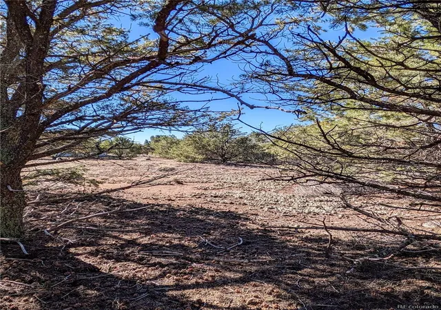 Land for sale at 3384 Genial Way, Crestone, CO 81131 | MLS# 7278000
