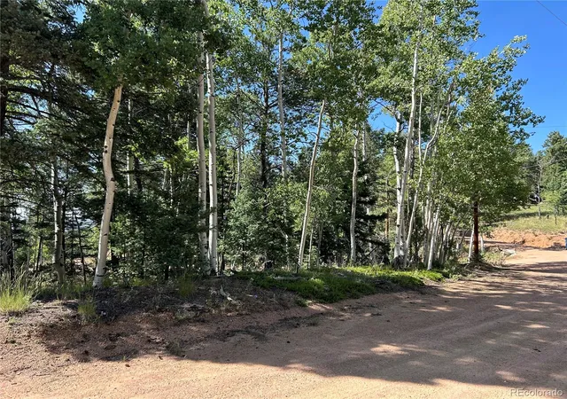 Land for sale at 127 Rampart Cir, Florissant, CO 80816 | MLS# 2461636