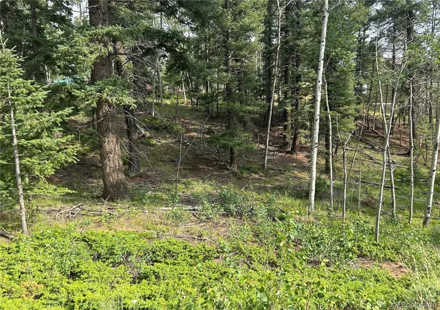 Photo 1 of Land for sale at 127 Rampart Cir, Florissant, CO 80816 | MLS# 2461636 | Listing updated on 2026-10-30